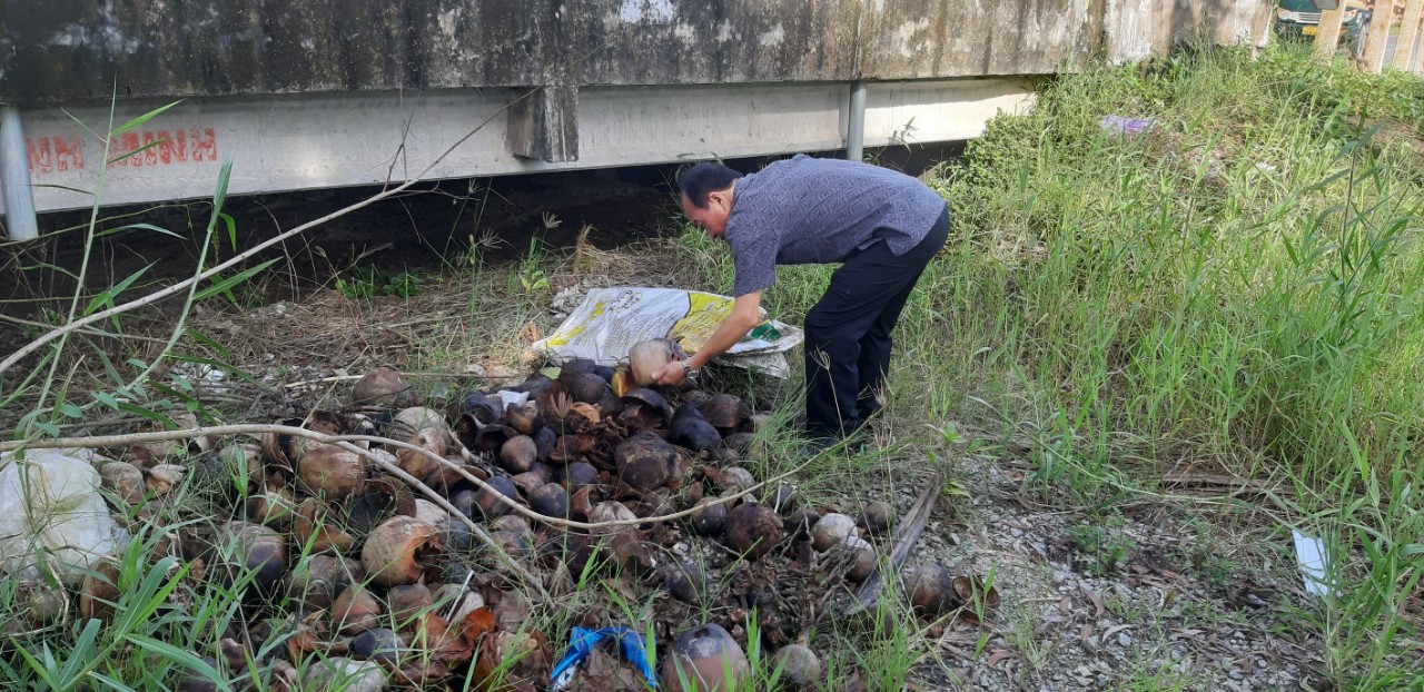 Đồng chí Huỳnh Văn Dũng - Giám đốc Trung tâm Y tế thị xã Giá Rai  nhặt từng vỏ dừa lật úp lại để không còn chứa nước mưa.
